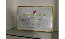 高新技術(shù)企業(yè)